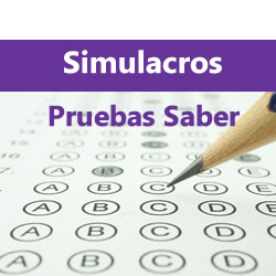 Simulacros PRE-SABER GRADOS 10º Y 11º - TIPO ICFES